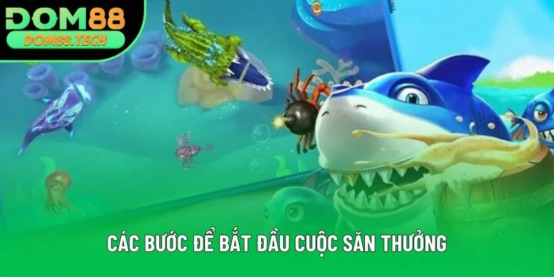 Các bước để bắt đầu cuộc săn thưởng Các bước để bắt đầu cuộc săn thưởng