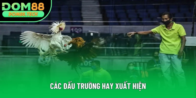 Các đấu trường thường xuất hiện Các đấu trường thường xuất hiện