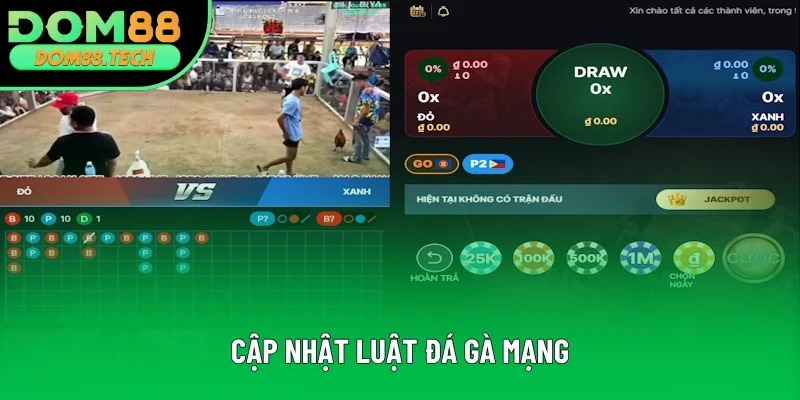 Cập nhật luật đá gà mạng đầy đủ nhất