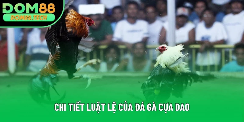 Chi tiết về luật lệ thi đấu của sản phẩm Chi tiết về luật lệ thi đấu của sản phẩm