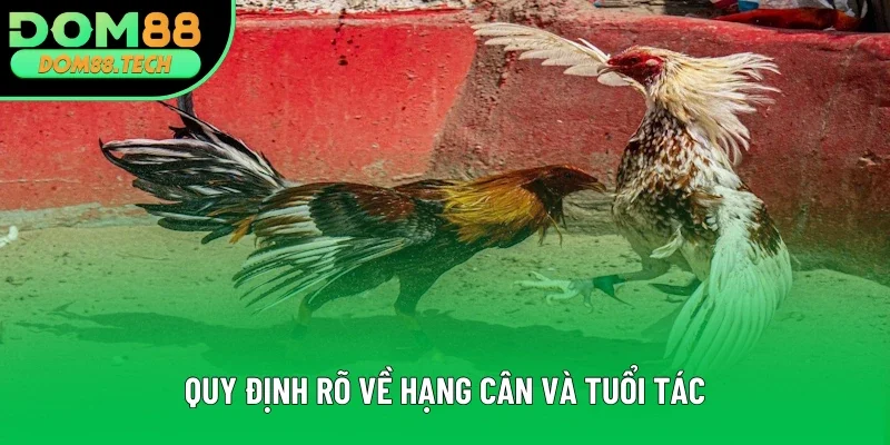 Có quy định rõ về hạng cần và tuổi tác Có quy định rõ về hạng cần và tuổi tác