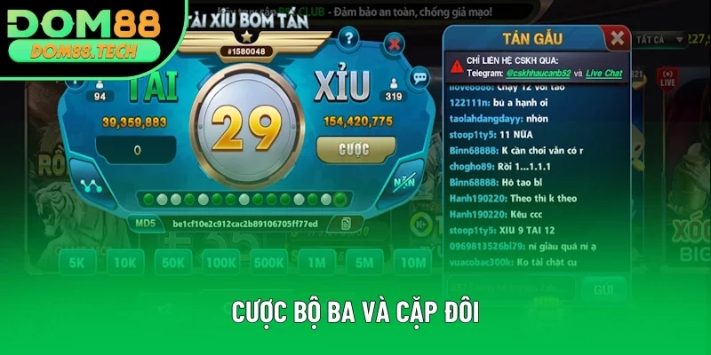 Cược bộ ba và cặp đôi rất thú vị Cược bộ ba và cặp đôi rất thú vị