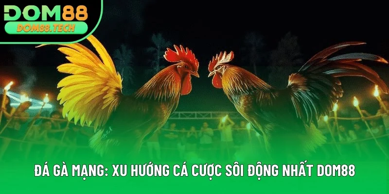 Đá Gà Mạng: Cá Cược Chọi Kê Thú Vị Nhận Thưởng Lớn