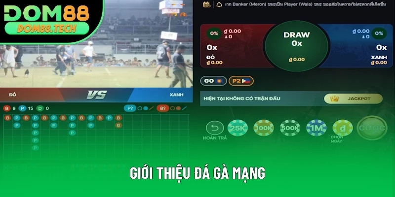 Giới thiệu chi tiết về đá gà mạng