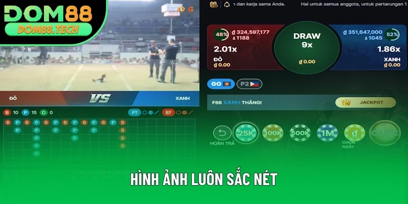 Hình ảnh từ phiên live luôn sắc nét Hình ảnh từ phiên live luôn sắc nét