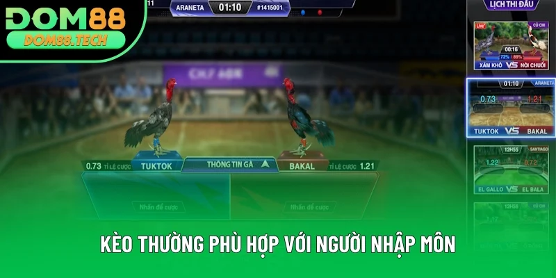 Kèo thường dành cho người nhập môn Kèo thường dành cho người nhập môn