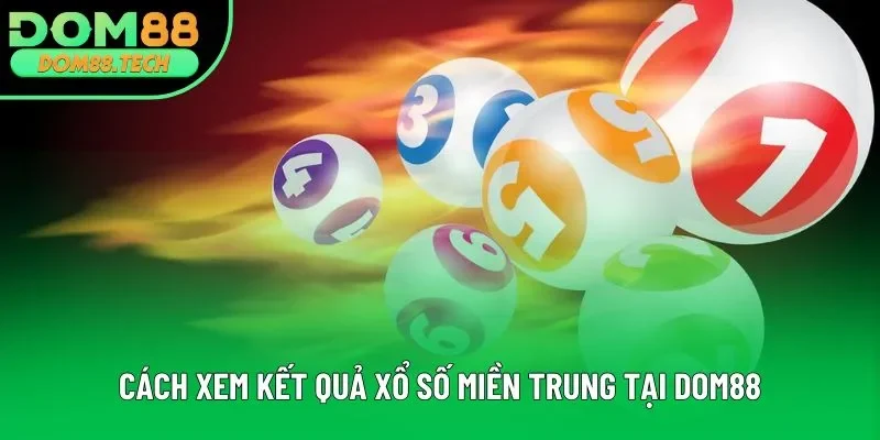 Cách xem kết quả xổ số miền Trung tại DOM88 Cách xem kết quả xổ số miền Trung tại DOM88