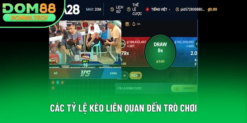 Những tỷ lệ kèo liên quan đến trò chơi Những tỷ lệ kèo liên quan đến trò chơi