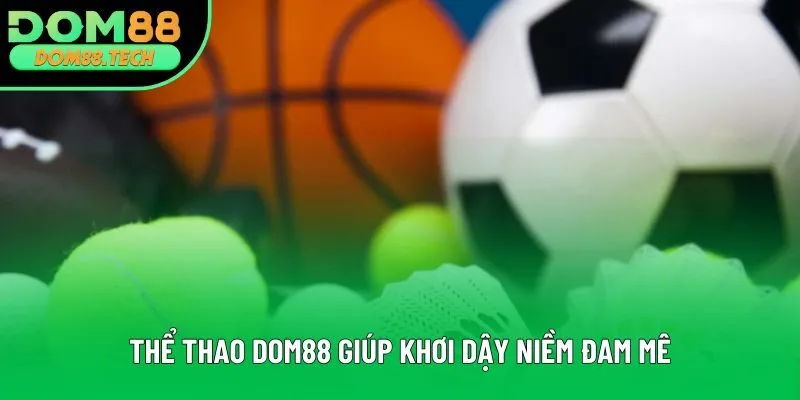 Thể thao DOM88 giúp khơi dậy niềm đam mê Thể thao DOM88 giúp khơi dậy niềm đam mê