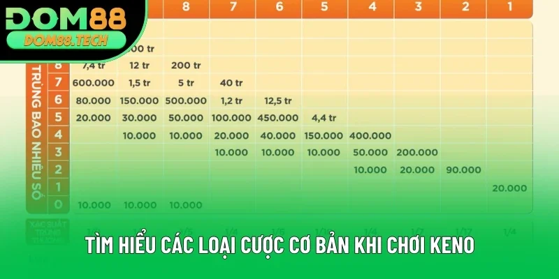 Tìm hiểu các loại cược cơ bản khi chơi Keno Tìm hiểu các loại cược cơ bản khi chơi Keno