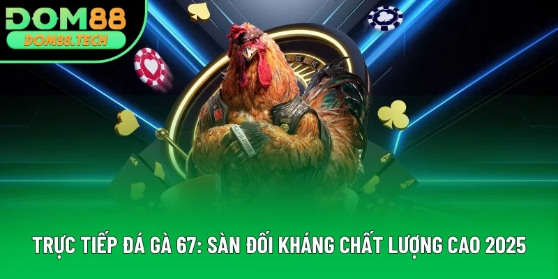 Trực Tiếp Đá Gà 67: Sân Chơi Chọi Kê Khó Khước Từ 2025